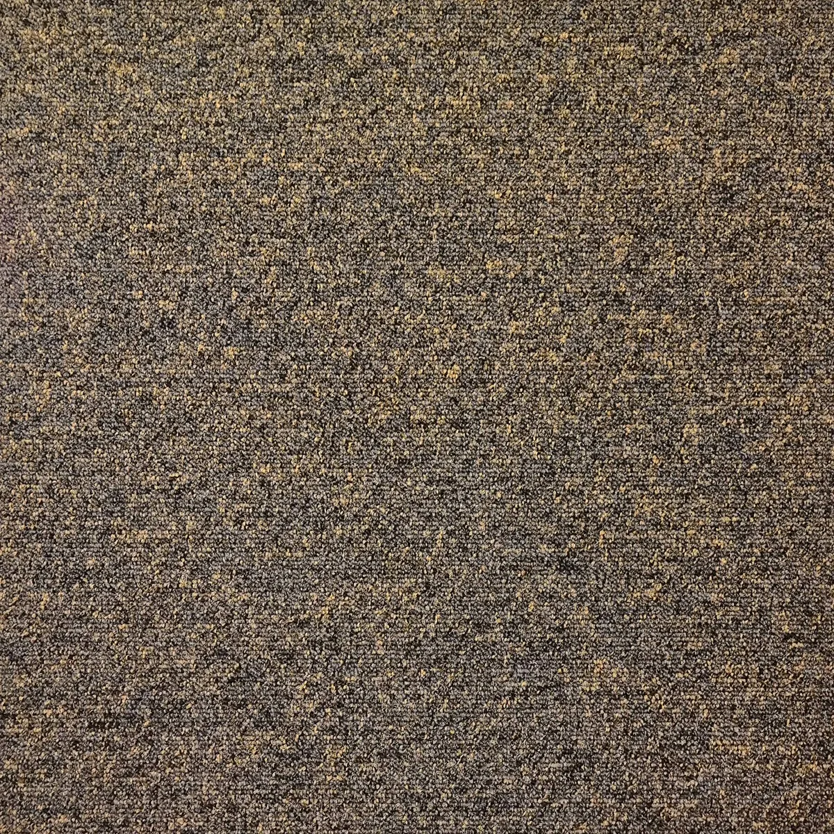 shoreline1 jpg