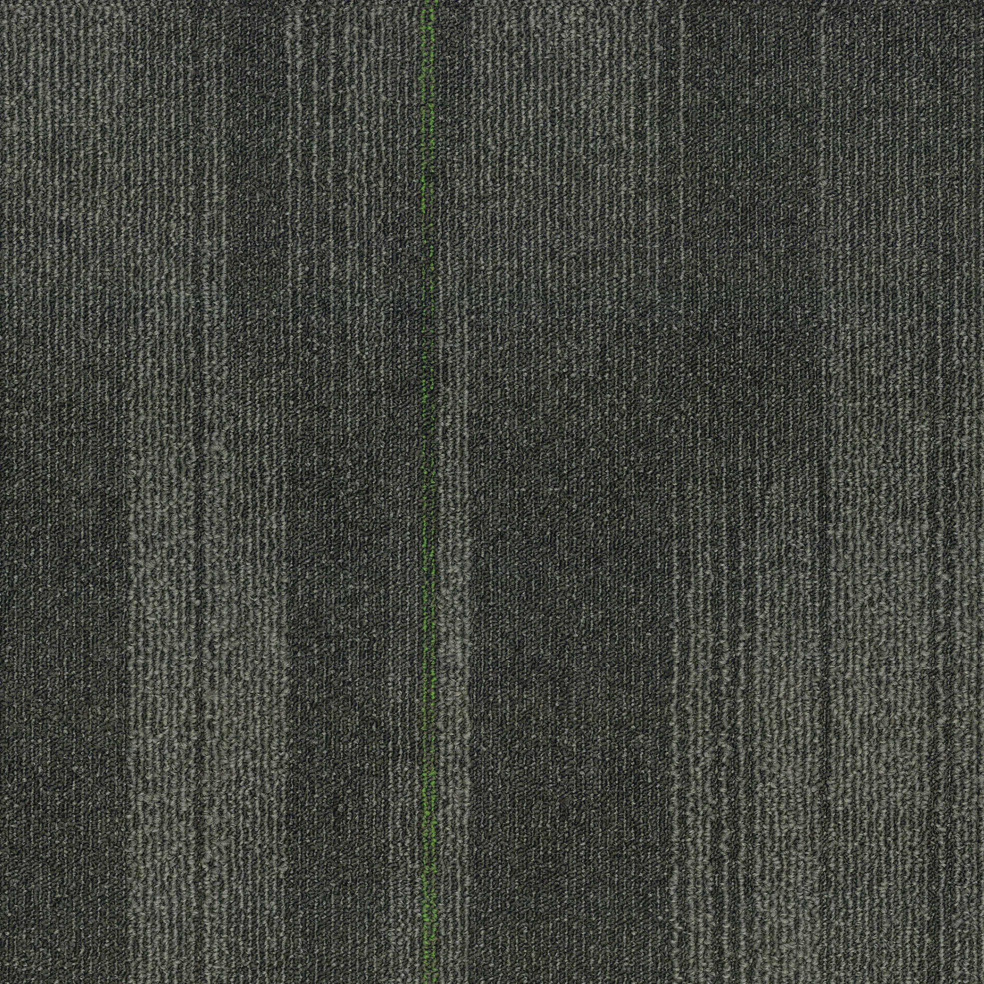 Geneva 55009 6 jpg
