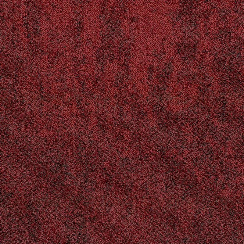 Samina 6651 2 800 jpg