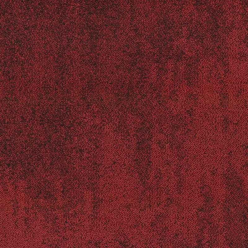 Samina 6651 3 800 jpg