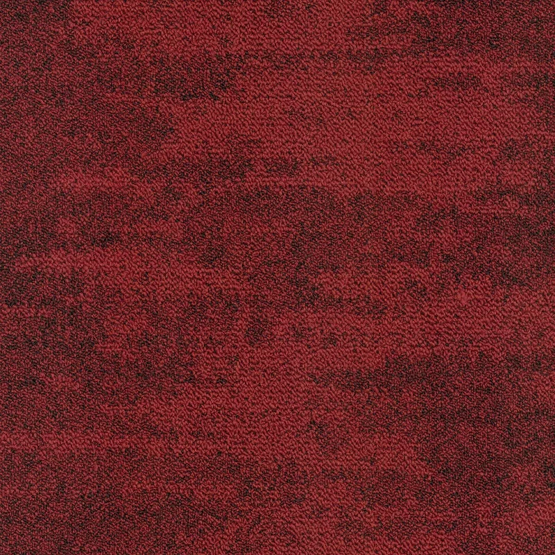 Samina 6651 5 800 jpg