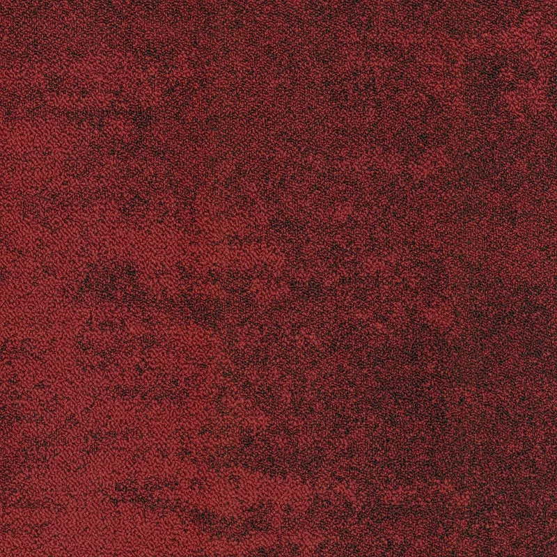 Samina 6651 6 800 jpg
