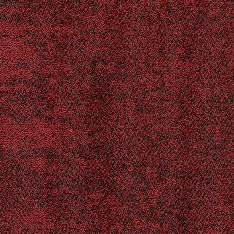 Samina 6651 7 800 jpg