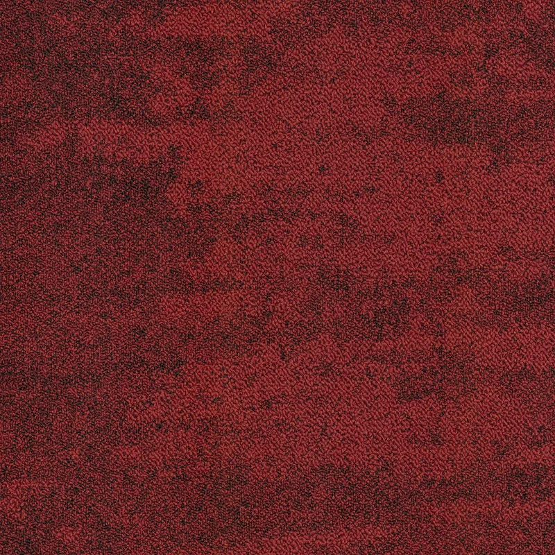 Samina 6651 8 800 jpg