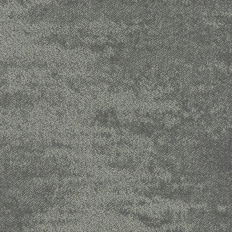 Victoria 6602 8 800 jpg